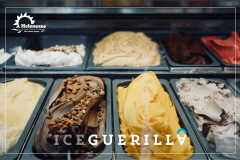 iceguerilla 240x160